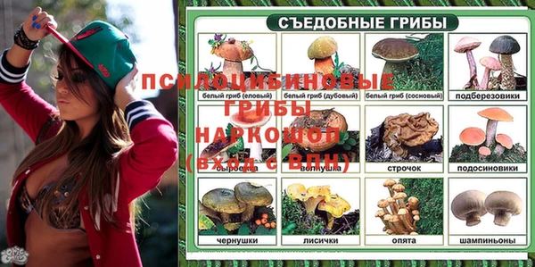 дурь Касимов
